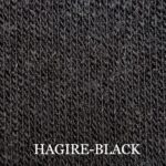HAGIRE-2