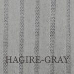 HAGIRE-1