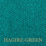 HAGIRE-2