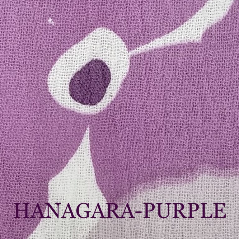 HAGIRE-3